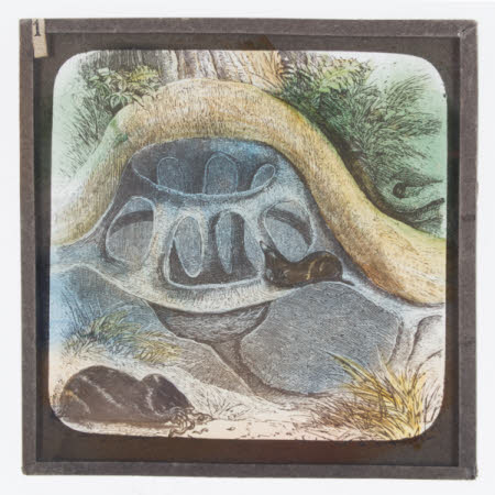 Slide lantern