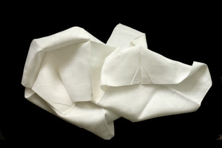 Napkin