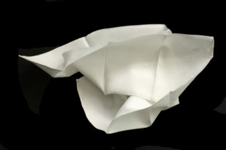 Napkin