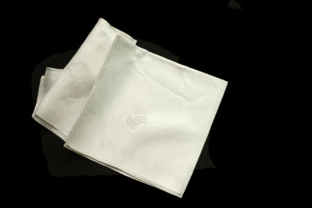 Napkin