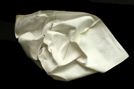 Napkin