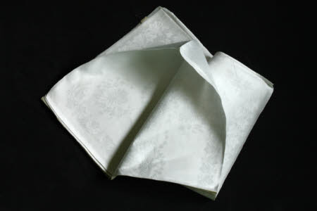 Napkin