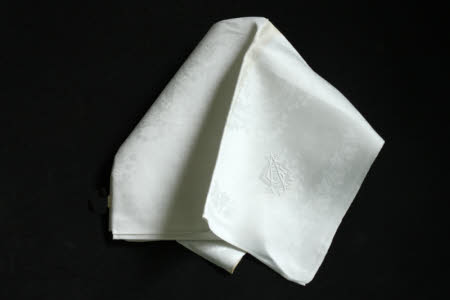 Napkin
