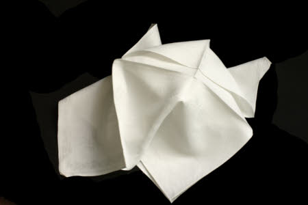 Napkin