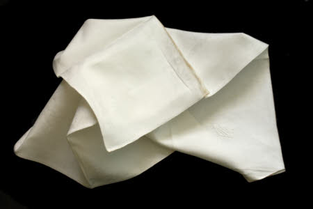 Napkin
