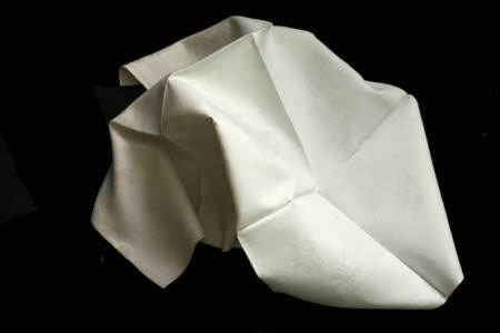 Napkin