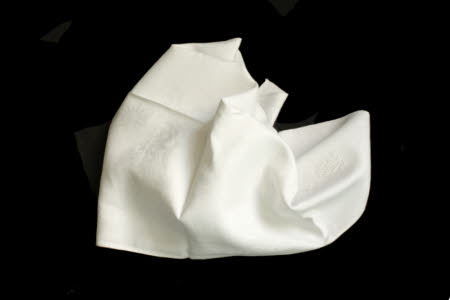 Napkin