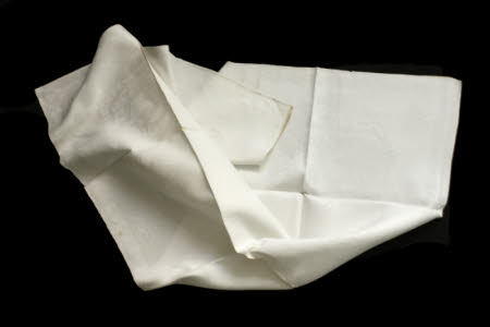 Napkin