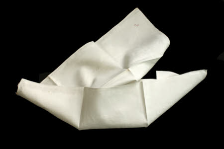 Napkin