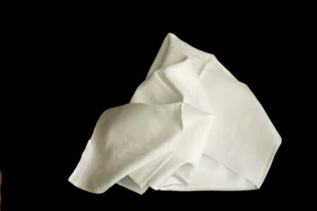 Napkin