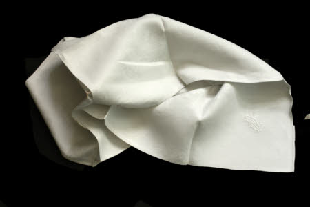 Napkin