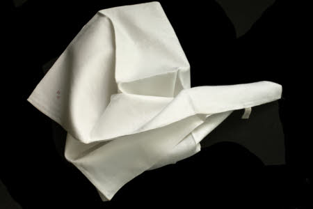Napkin