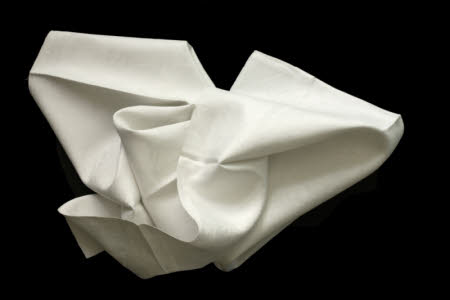 Napkin