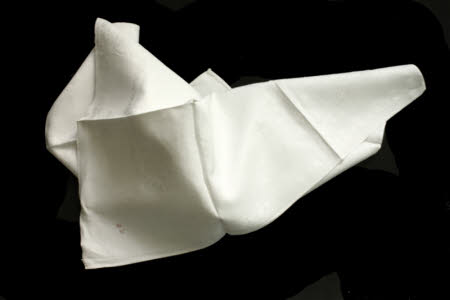 Napkin