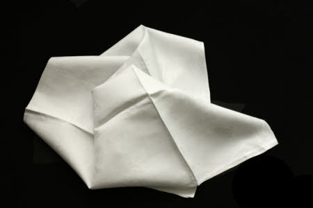 Napkin