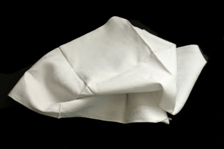 Napkin