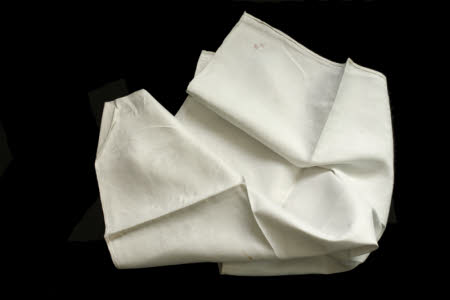 Napkin