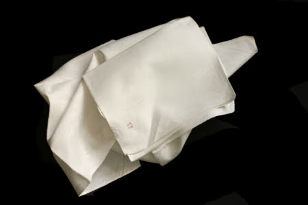 Napkin