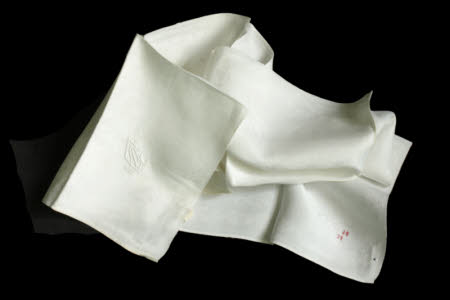 Napkin