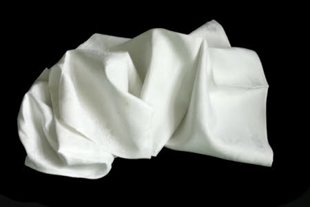 Napkin