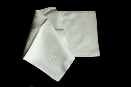 Napkin