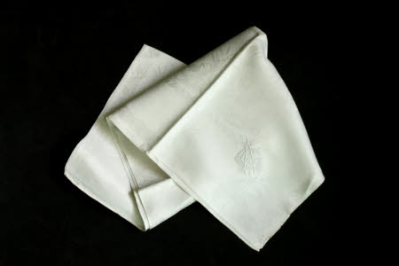 Napkin
