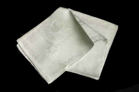 Napkin