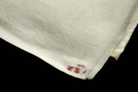 Napkin