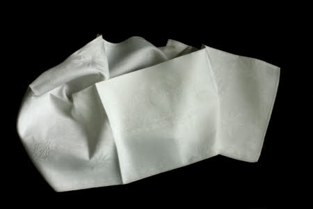 Napkin