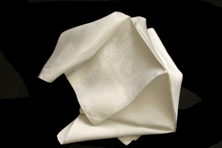 Napkin