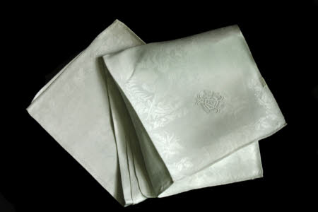 Napkin