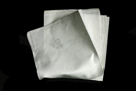 Napkin