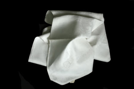 Napkin