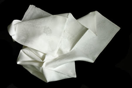 Napkin