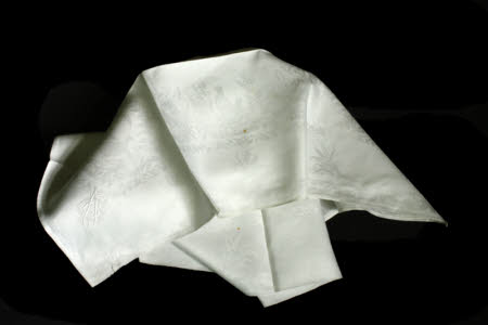 Napkin