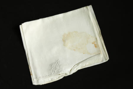 Napkin