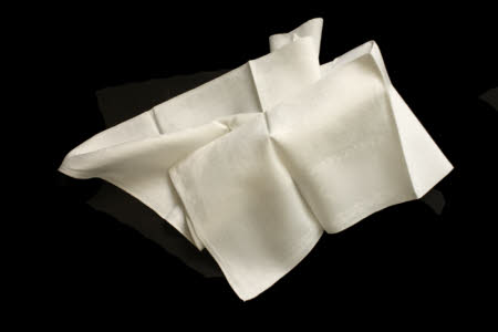 Napkin
