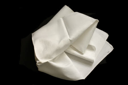 Napkin