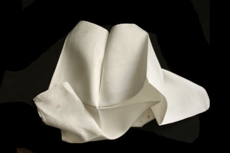 Napkin