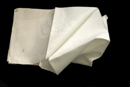 Napkin