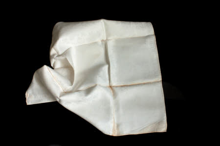 Napkin