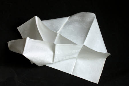 Napkin
