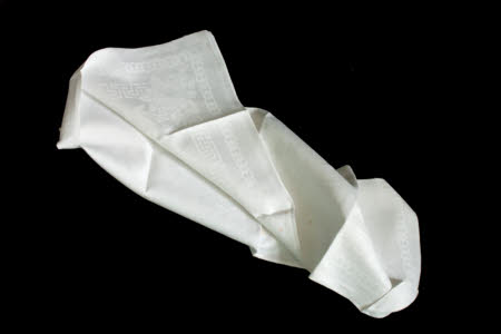Napkin