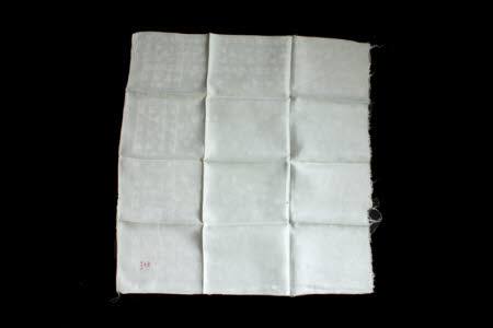 Napkin