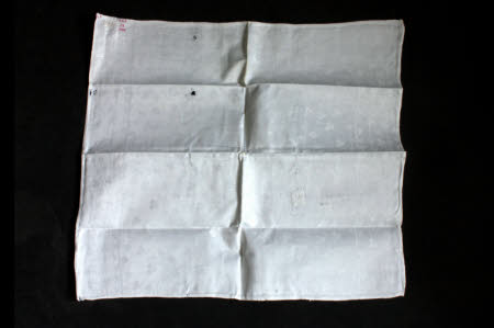 Napkin