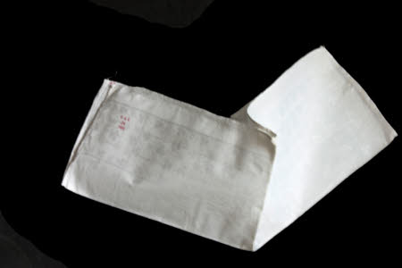 Napkin