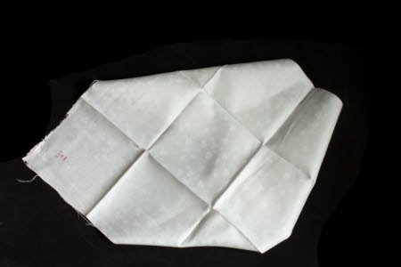 Napkin