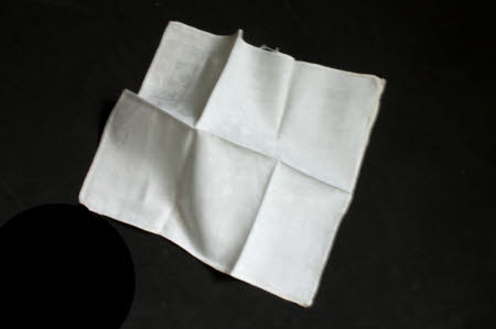 Napkin