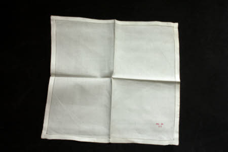 Napkin