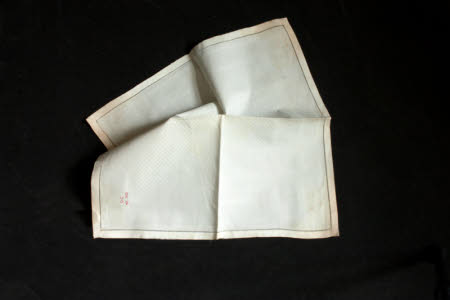 Napkin